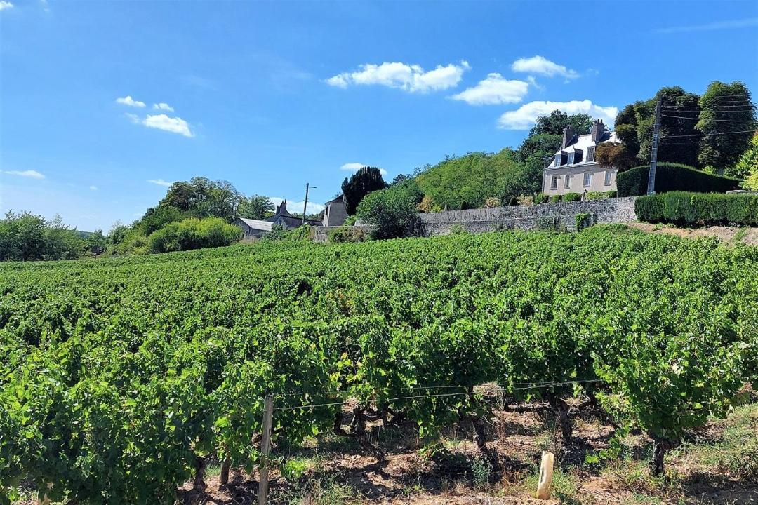 Apartmán Le Balzac / Colbert - Bord De Loire Tours Exteriér fotografie